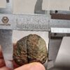Zhanguo Red Agate Pair Stone (unpolished) ZR066