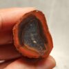 Zhanguo Red Agate Pair Stone (unpolished) ZR067