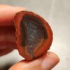 Zhanguo Red Agate Pair Stone (unpolished) ZR067