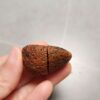 Zhanguo Red Agate Pair Stone (unpolished) ZR067
