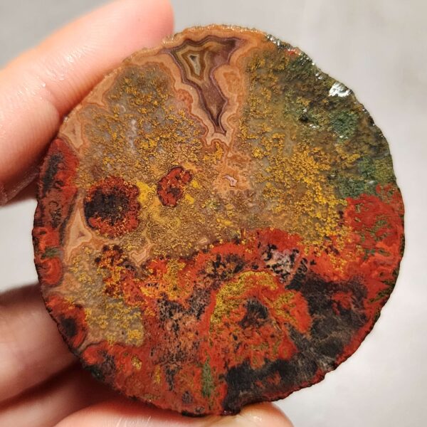 Zhanguo Red Agate Pair Stone (unpolished) ZR068