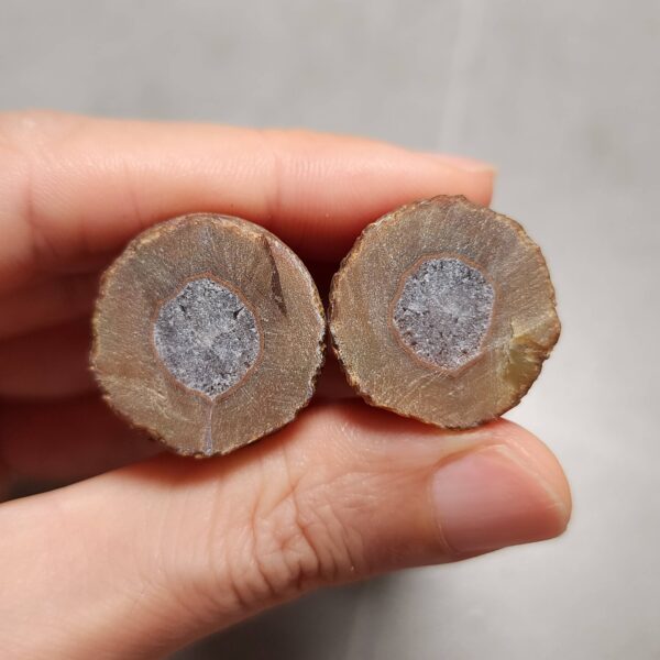20260711_205954 Zhanguo Red Agate Pair Stone (unpolished) ZR069