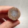 20260711_210004 Zhanguo Red Agate Pair Stone (unpolished) ZR069