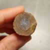 20260711_210012 Zhanguo Red Agate Pair Stone (unpolished) ZR069