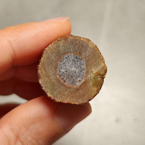 20260711_210012 Zhanguo Red Agate Pair Stone (unpolished) ZR069