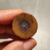 20260711_210132 Zhanguo Red Agate Pair Stone (unpolished) ZR069