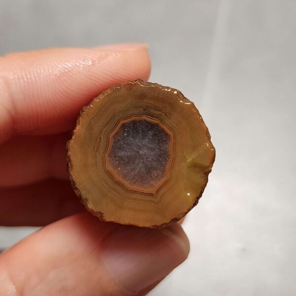 20260711_210226 Zhanguo Red Agate Pair Stone (unpolished) ZR069
