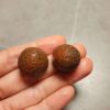 20260711_210310 Zhanguo Red Agate Pair Stone (unpolished) ZR069