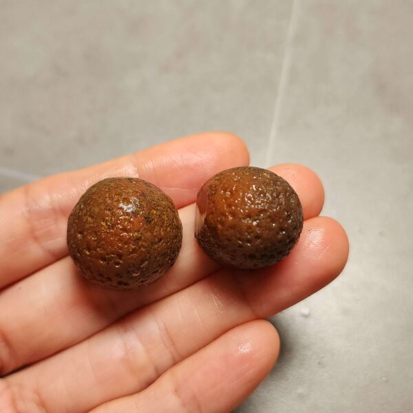 20260711_210310 Zhanguo Red Agate Pair Stone (unpolished) ZR069
