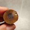 20260711_210426 Zhanguo Red Agate Pair Stone (unpolished) ZR069