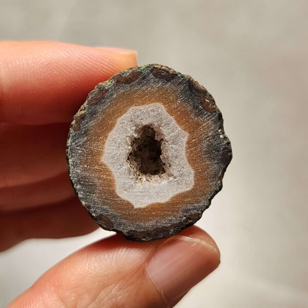 Zhanguo Red Agate Pair Stone (unpolished) ZR070