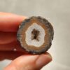 Zhanguo Red Agate Pair Stone (unpolished) ZR070