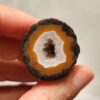 Zhanguo Red Agate Pair Stone (unpolished) ZR070