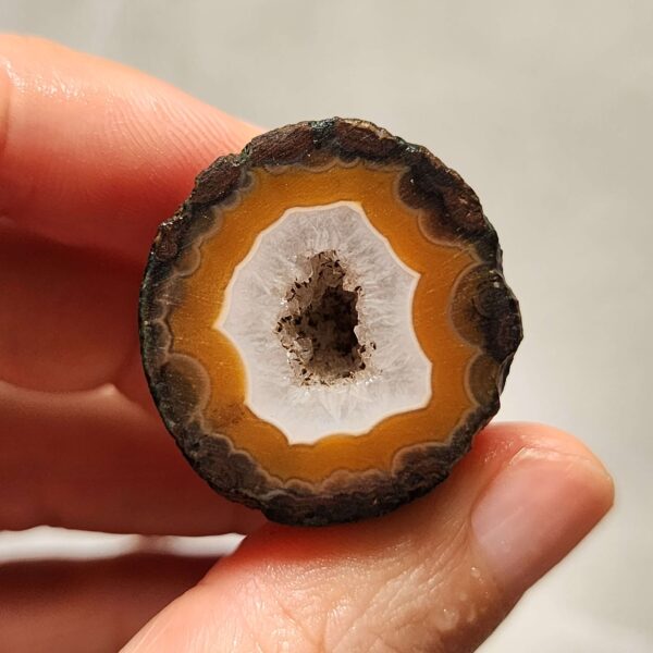 Zhanguo Red Agate Pair Stone (unpolished) ZR070