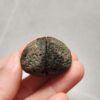 Zhanguo Red Agate Pair Stone (unpolished) ZR070