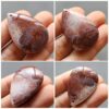 1309collage Fossilized Coral C1309