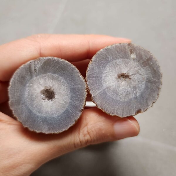 20260725_163127 Zhanguo Red Agate Pair Stone (unpolished) ZR071