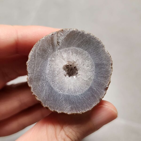 20260725_163134 Zhanguo Red Agate Pair Stone (unpolished) ZR071