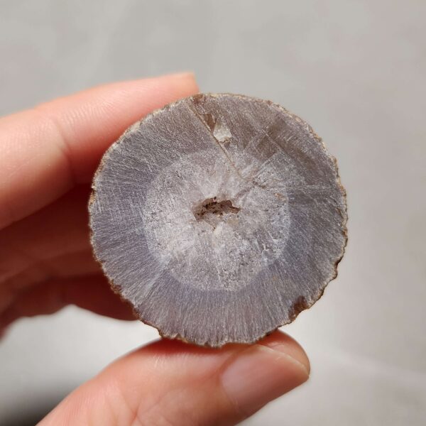 20260725_163141 Zhanguo Red Agate Pair Stone (unpolished) ZR071