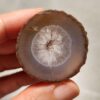 20260725_163226 Zhanguo Red Agate Pair Stone (unpolished) ZR071