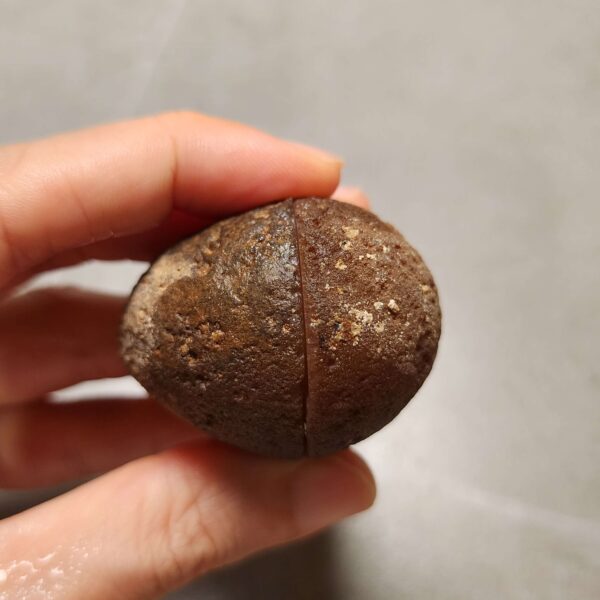 20260725_163352 Zhanguo Red Agate Pair Stone (unpolished) ZR071