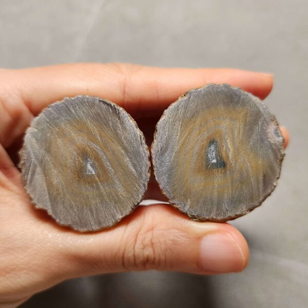 20260725_163442 Zhanguo Red Agate Pair Stone (unpolished) ZR072