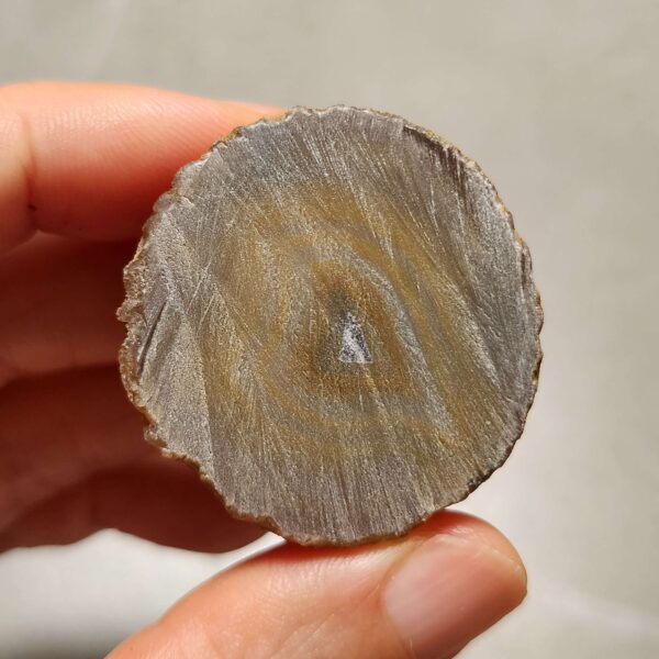 20260725_163452 Zhanguo Red Agate Pair Stone (unpolished) ZR072