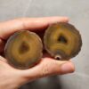 20260725_163547 Zhanguo Red Agate Pair Stone (unpolished) ZR072