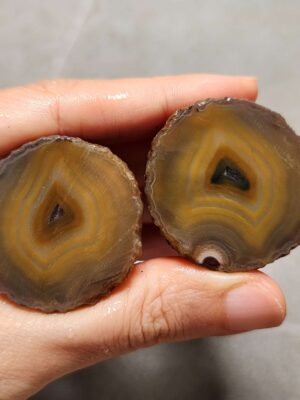 20260725_163547 Zhanguo Red Agate Pair Stone (unpolished) ZR072