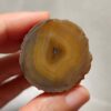 20260725_163609 Zhanguo Red Agate Pair Stone (unpolished) ZR072
