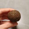 20260725_163709 Zhanguo Red Agate Pair Stone (unpolished) ZR072