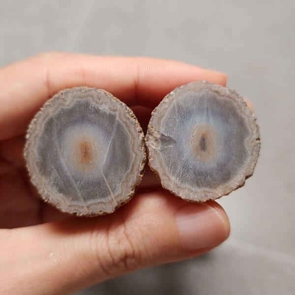 20260725_163755 Zhanguo Red Agate Pair Stone (unpolished) ZR073