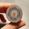 20260725_163802 Zhanguo Red Agate Pair Stone (unpolished) ZR073