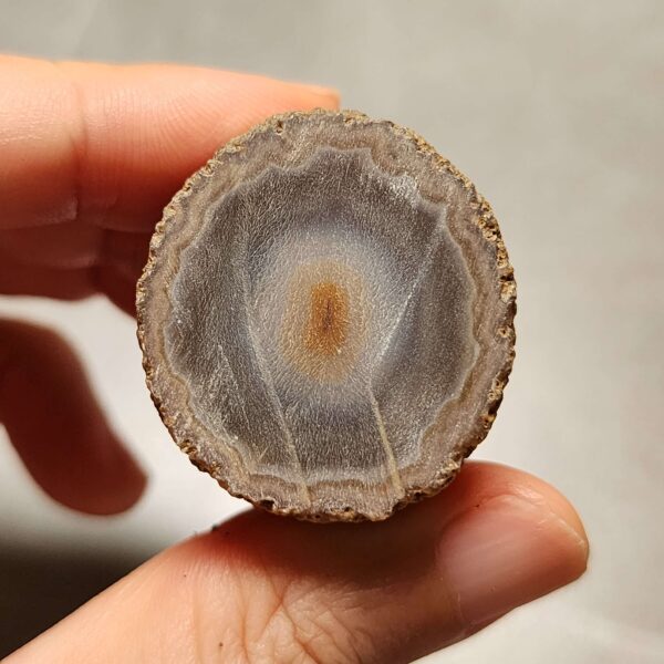 20260725_163802 Zhanguo Red Agate Pair Stone (unpolished) ZR073