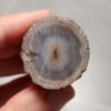 20260725_163809 Zhanguo Red Agate Pair Stone (unpolished) ZR073