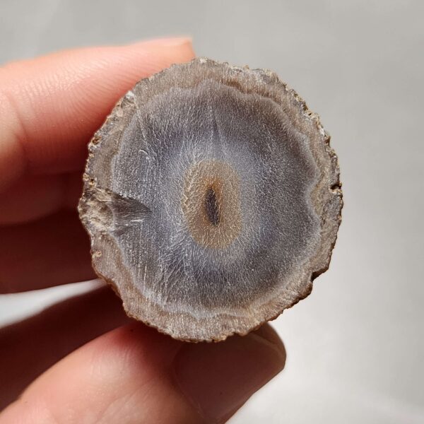 20260725_163809 Zhanguo Red Agate Pair Stone (unpolished) ZR073