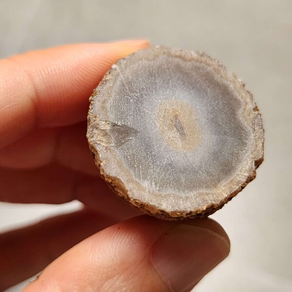 20260725_163813 Zhanguo Red Agate Pair Stone (unpolished) ZR073