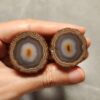 20260725_163837 Zhanguo Red Agate Pair Stone (unpolished) ZR073