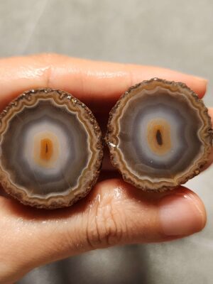 20260725_163837 Zhanguo Red Agate Pair Stone (unpolished) ZR073