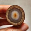 20260725_163905 Zhanguo Red Agate Pair Stone (unpolished) ZR073