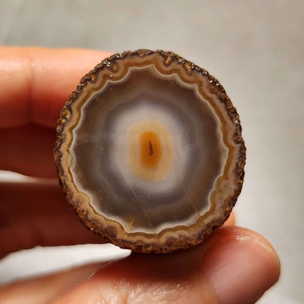 20260725_163905 Zhanguo Red Agate Pair Stone (unpolished) ZR073