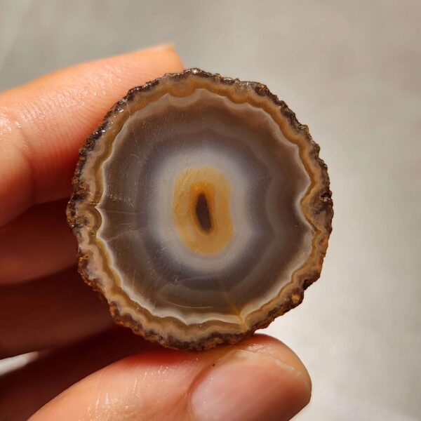 20260725_163922 Zhanguo Red Agate Pair Stone (unpolished) ZR073