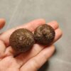 20260725_163940 Zhanguo Red Agate Pair Stone (unpolished) ZR073