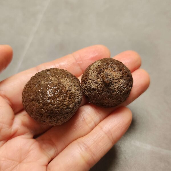 20260725_163940 Zhanguo Red Agate Pair Stone (unpolished) ZR073