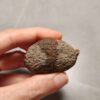 20260725_163945 Zhanguo Red Agate Pair Stone (unpolished) ZR073