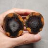 20260725_164240 Zhanguo Red Agate Pair Stone (unpolished) ZR074
