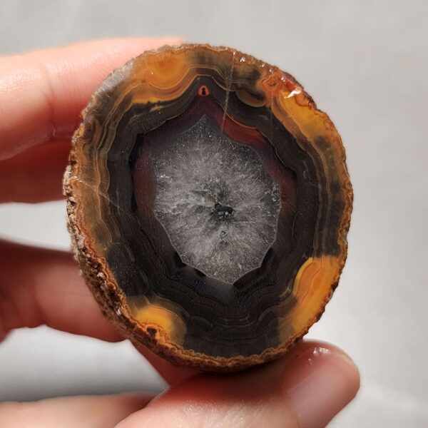 20260725_164252 Zhanguo Red Agate Pair Stone (unpolished) ZR074