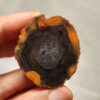 20260725_164306 Zhanguo Red Agate Pair Stone (unpolished) ZR074