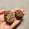 20260725_164341 Zhanguo Red Agate Pair Stone (unpolished) ZR074