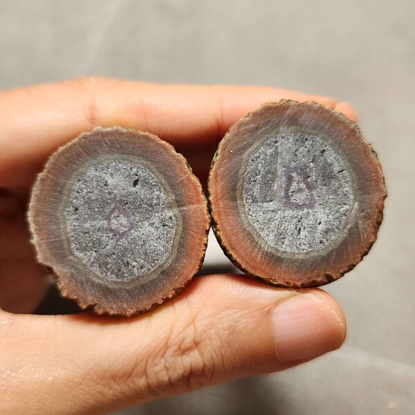 20260725_164816 Zhanguo Red Agate Pair Stone (unpolished) ZR075